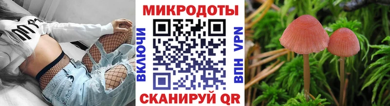 Псилоцибиновые грибы Magic Shrooms  Заводоуковск 