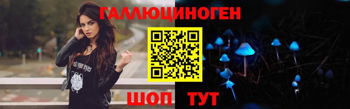 Псилоцибиновые грибы Psilocybe Заводоуковск